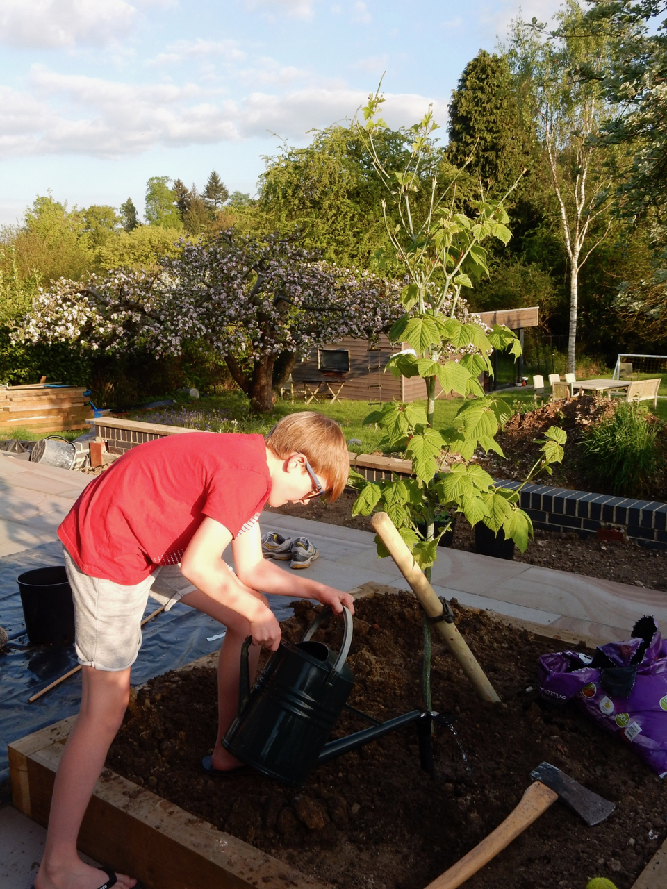 Tree planting 